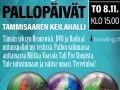 Pallopäivät-TAMMISAARI-marraskuu-2018