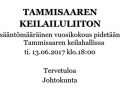 vusikokous