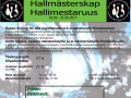 hallmasterskap17